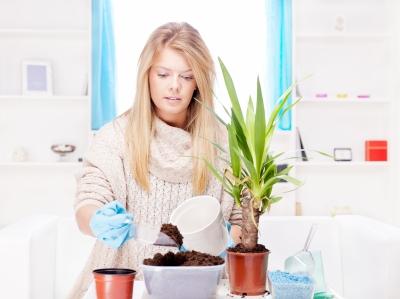 Vampiri energetici. Ce plante iti fac bine si de care trebuie sa te feresti 