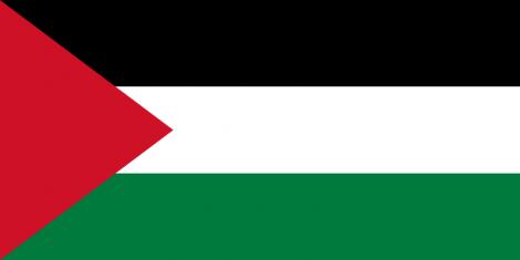 Decizie istorica: Adunarea Generala a Natiunilor Unite a recunoscut statul Palestina!