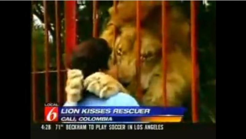 Inima de leu: O strange in brate pe cea care i-a salvat viata!