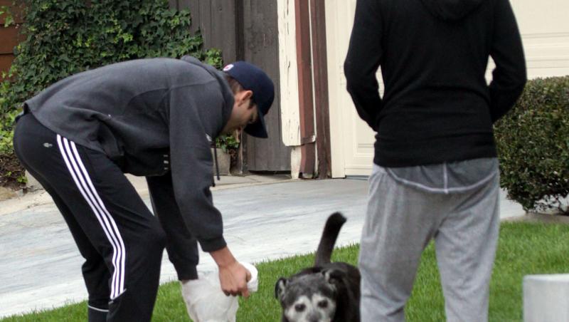 FOTO! Mila Kunis si Ashton Kutcher la plimbare, alaturi de cainele lor