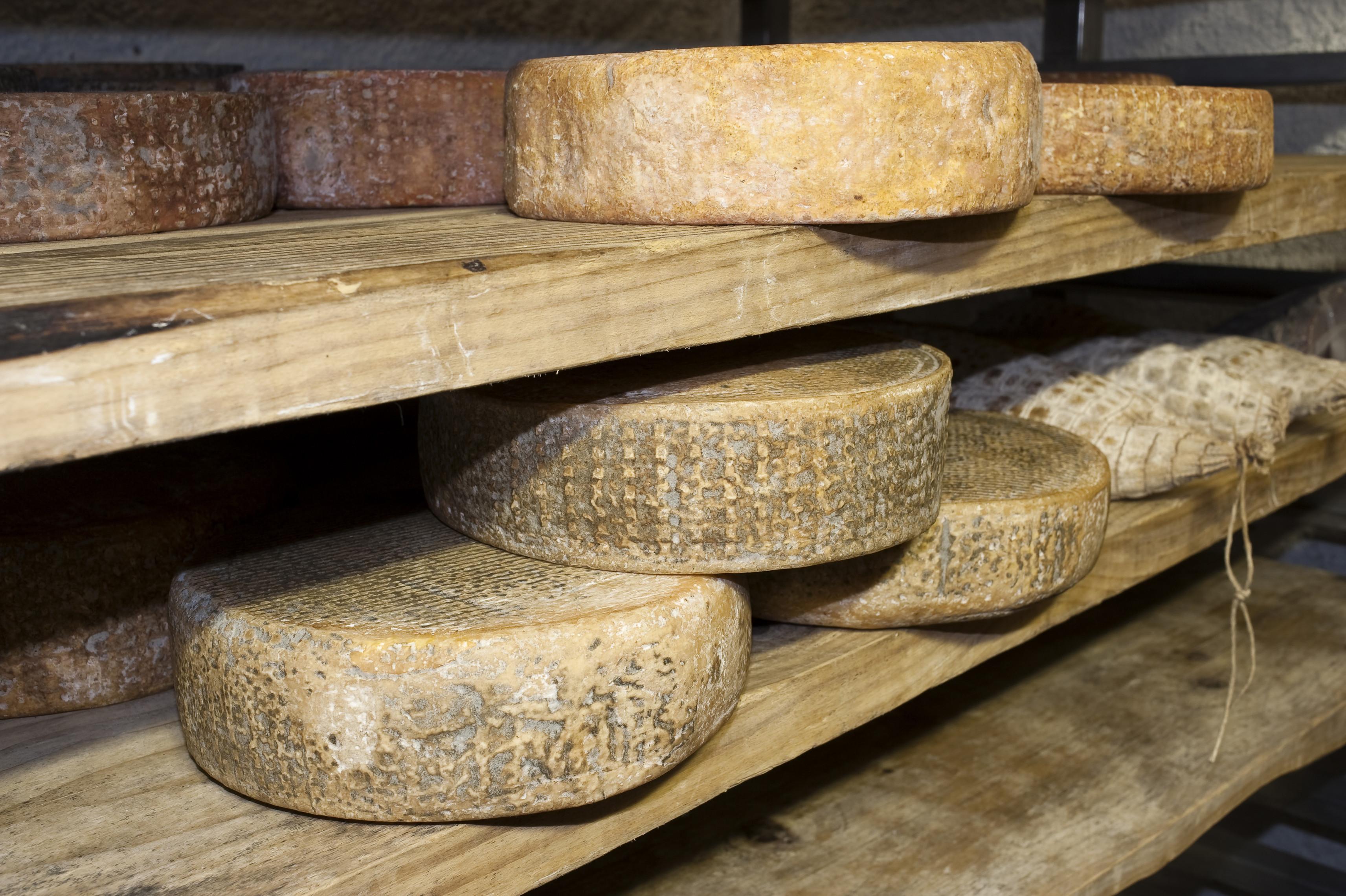 Dovezi arheologice despre branza: a aparut acum 10.000 de ani