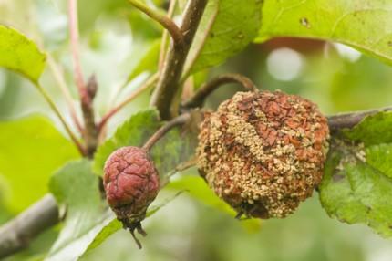  Viata si sanatate: Simptome mici care pot indica probleme mari 