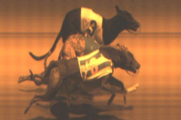 Trei pe primul loc! Asa ceva se intampla o data la 30 de milioane de curse