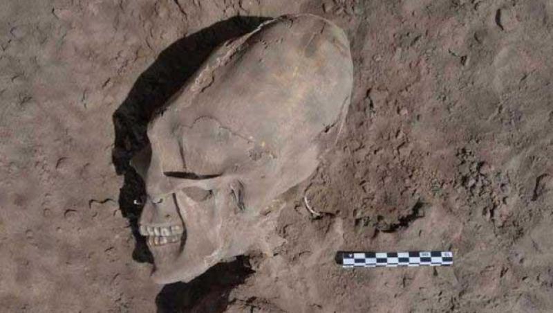 VIDEO! Descoperire senzationala in Mexic: 13 schelete cu cranii alungite tip 