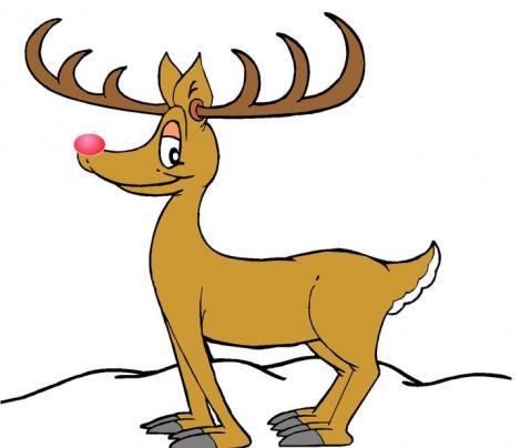 S-a demonstrat stiintific: Renul Rudolf chiar are nasul rosu