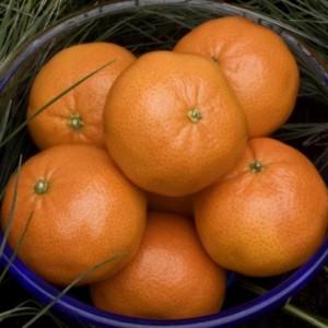 10 idei ingenioase ca sa-ti ornezi casa 