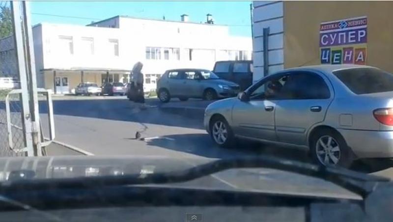 VIDEO! E mic, mic, mic si buclucas. O rusoaica nu reuseste sa-i faca fata!