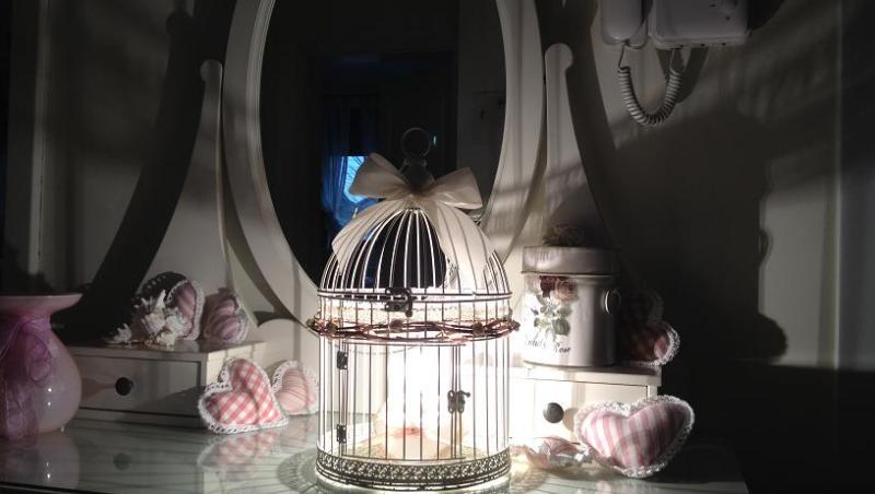 Viata in roz cu Rose Birdcage Lamp!