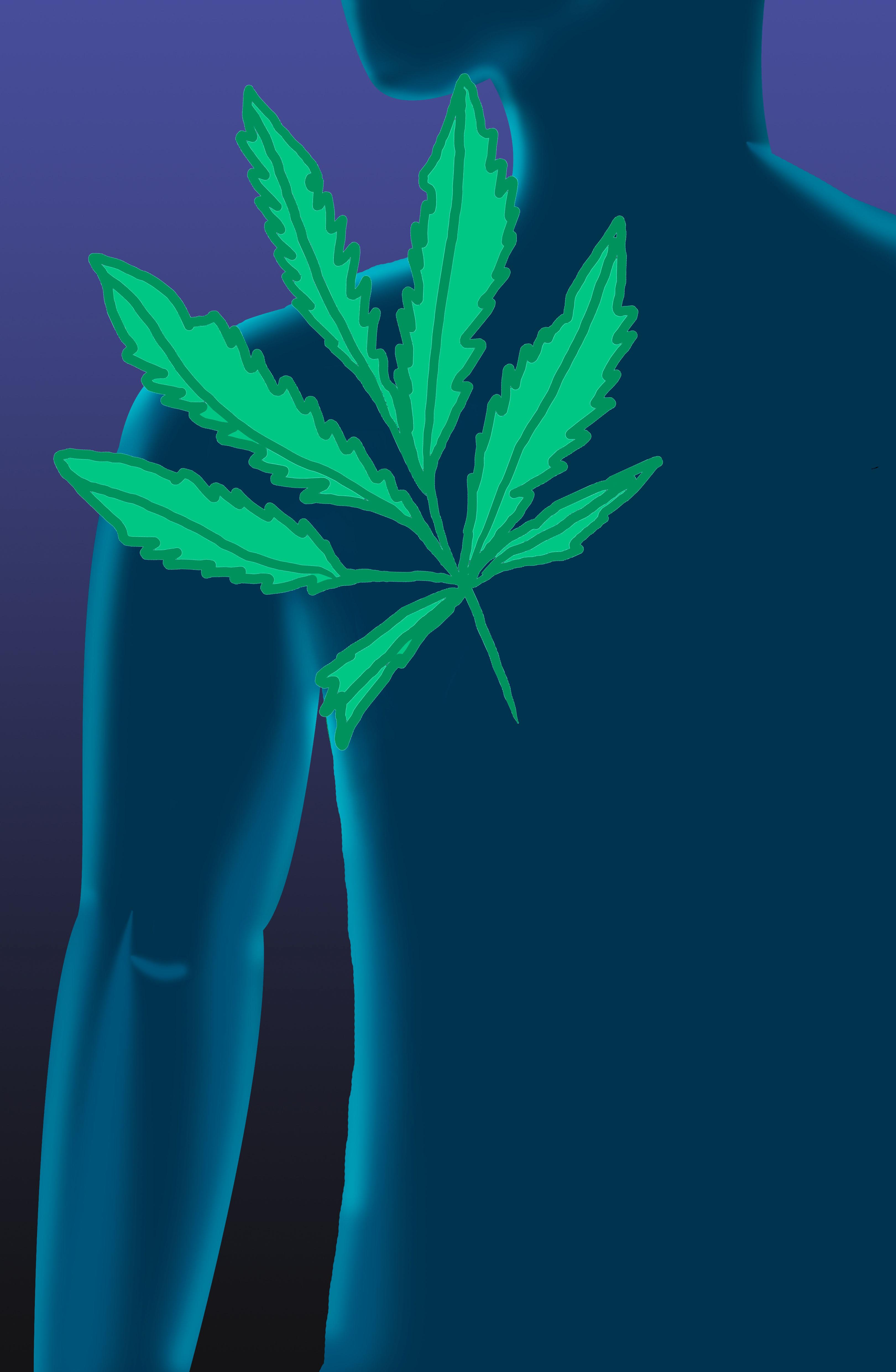 Unda verde la marijuana. Deputatii cehi au aprobat utilizarea plantei in scopuri medicinale