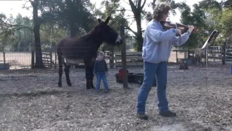VIDEO! Un magar canta alaturi de o violonista