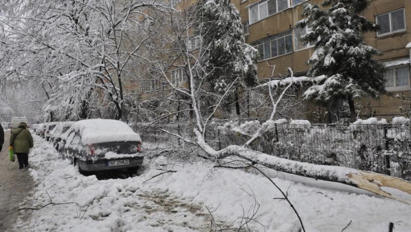 GALERIE FOTO! Imagini dramatice cu Romania acoperita de ninsori