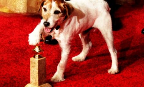Cainele Uggie, premiat cu Zgarda de Aur pentru filmul "The Artist"