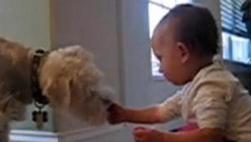 VIDEO! Un bebelus si un caine, cei mai buni prieteni din lume!