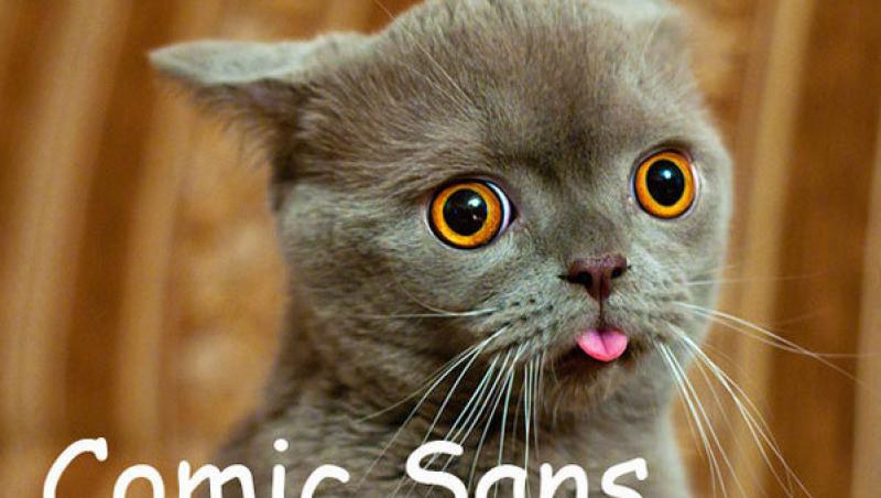 FOTO! Vezi ce pisici au inspirat fonturile de computer!