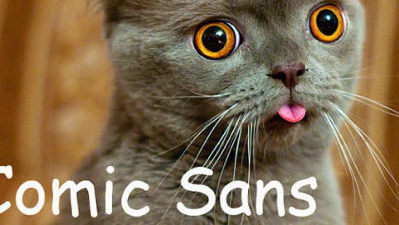 FOTO! Vezi ce pisici au inspirat fonturile de computer!