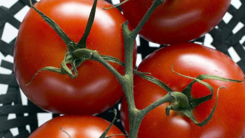 Rosiile previn aparitia cancerului