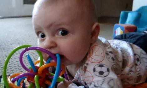 VIDEO! Un bebelus invata de la cainele sau cum sa mestece!
