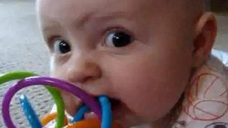 VIDEO! Un bebelus invata de la cainele sau cum sa mestece!