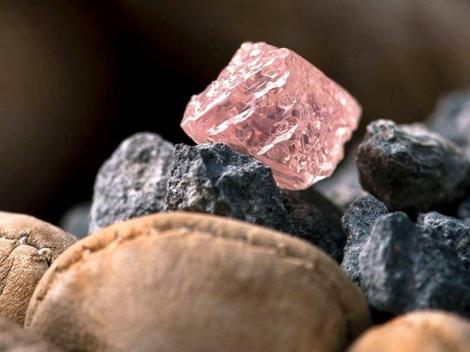 Un diamant roz de 12,76 de karate, descoperit in Australia. Piatra pretioasa ar putea valora 10 milioane de dolari
