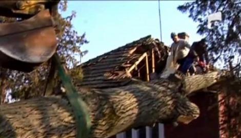 "Dorel" loveste din nou: A distrus acoperisul unei case, taiand un copac