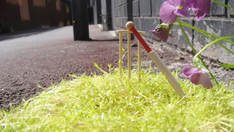 FOTO! Marea Britanie: Gradini in miniatura in gropile din asfalt