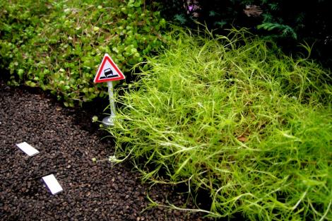FOTO! Marea Britanie: Gradini in miniatura in gropile din asfalt