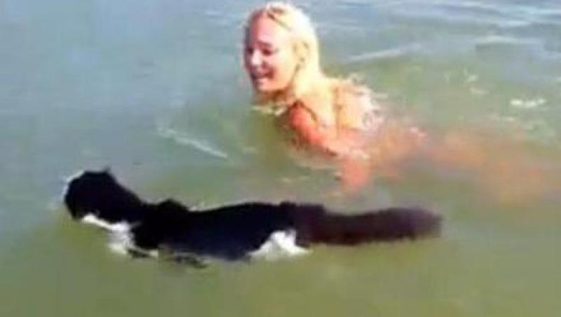 VIDEO! Vezi pisicuta care adora sa inoate!