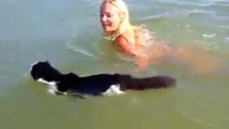 VIDEO! Vezi pisicuta care adora sa inoate!