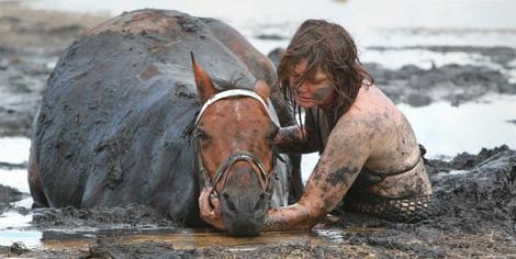Australia: O femeie si-a riscat viata pentru a-si salva calul dintr-o mlastina