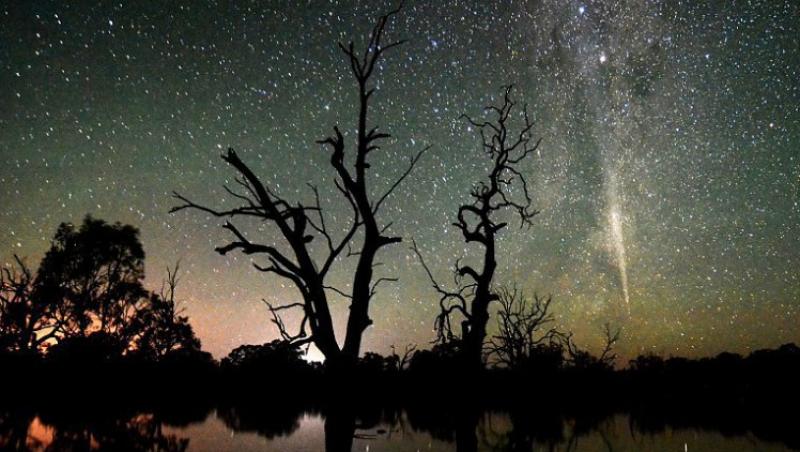 Vezi reflexia unei comete intr-o mlastina din Australia!