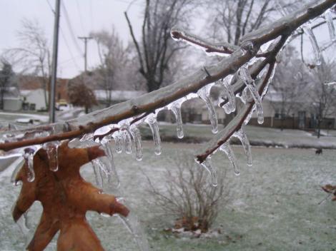 ANM: Fenomenul "freezing rain", produs in unele zone ale tarii si in Bucuresti