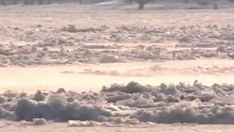 VIDEO! Imagini spectaculoase cu Dunarea inghetata. 149 de nave sunt blocate
