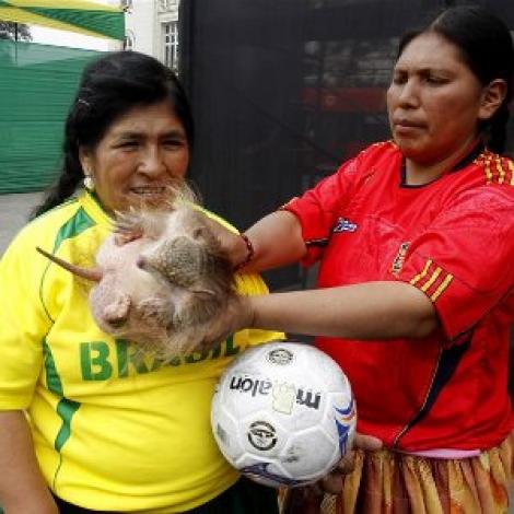 Mascota Cupei Mondiale din Brazilia 2014 va fi un tatu