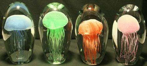 FOTO! Afla cum poti lumina casa cu ajutorul meduzelor!