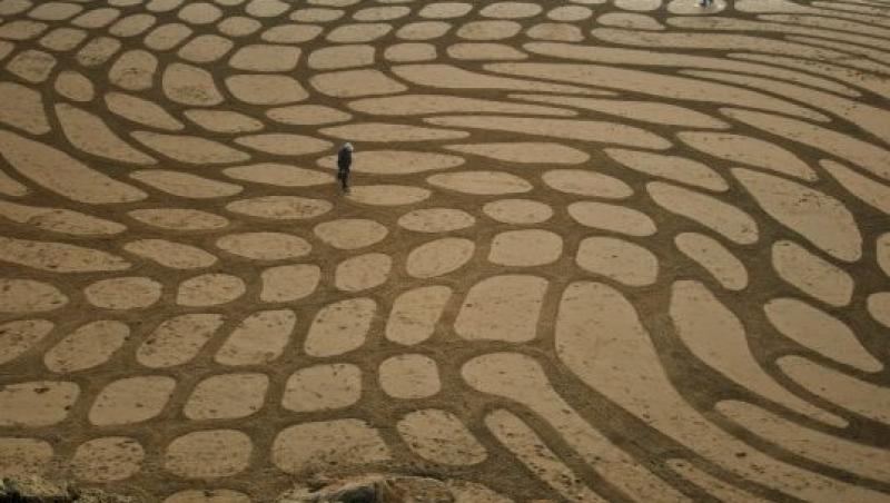 FOTO! Un artist foloseste plaja ca panza de pictat!