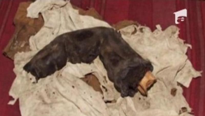 VIDEO! Deget mumificat, lung de 38 de centimetri, gasit in Egipt
