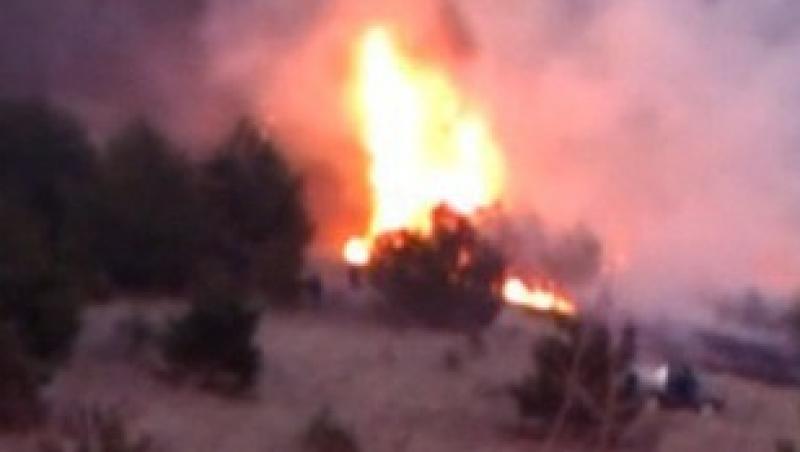 VIDEO! Opt hectare de teren au luat foc in Alba