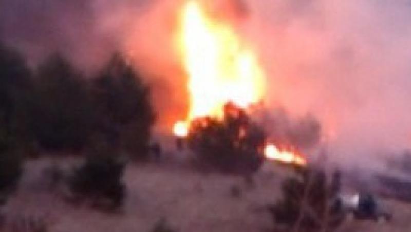 VIDEO! Opt hectare de teren au luat foc in Alba