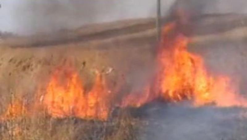 Zeci de localitati au fost amenintate de incendii de vegetatie in ultimele zile