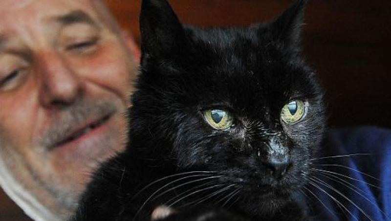 Marea Britanie: O pisica pierduta s-a intors acasa dupa 6 ani!