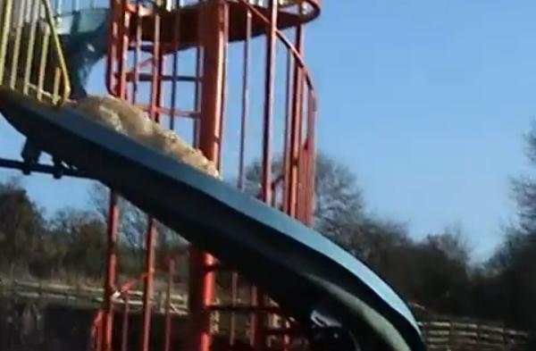VIDEO! Vezi cat de repede se da un caine pe tobogan!
