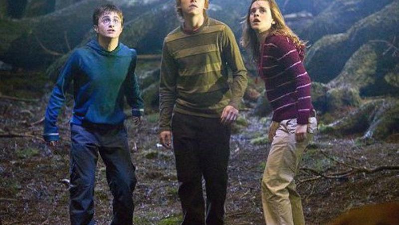 Filmele cu Harry Potter ii fac pe copii mai destepti