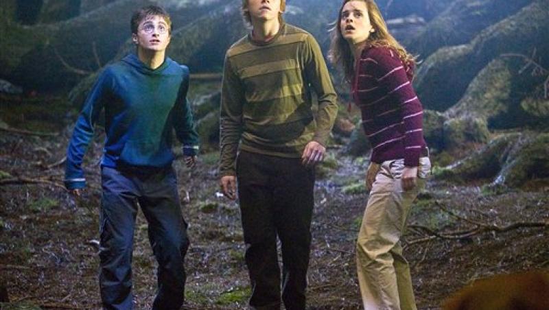 Filmele cu Harry Potter ii fac pe copii mai destepti