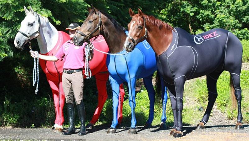FOTO! Echipamente in culori bizare pentru caii de la Jocurile Olimpice