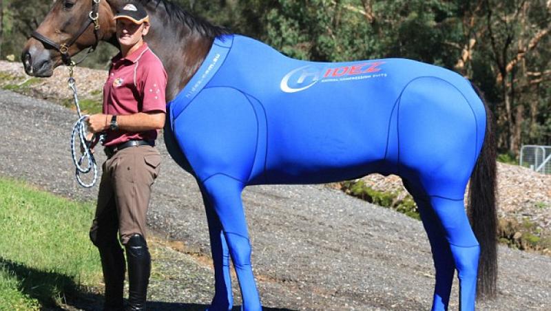 FOTO! Echipamente in culori bizare pentru caii de la Jocurile Olimpice