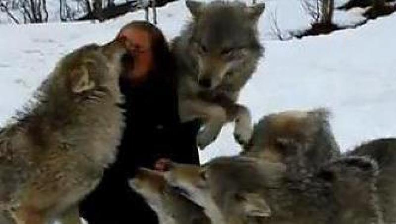 VIDEO ULUITOR! O haita de lupi a sarit pe o femeie!