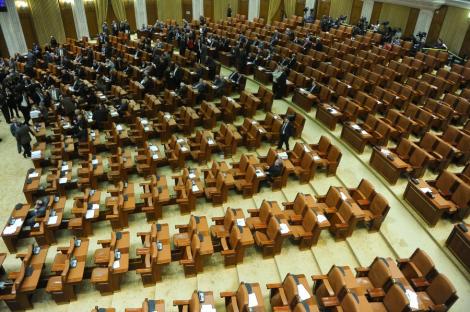 Proiectul de buget se voteaza in Romania in doar 3 zile, in Germania este dezbatut 6-7 luni