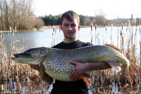 Record britanic: Un pescar a prins o stiuca de 20 de kilograme