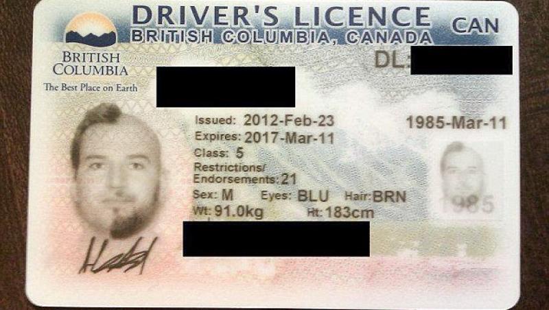 FOTO! Tu ti-ai face un asemenea permis auto?