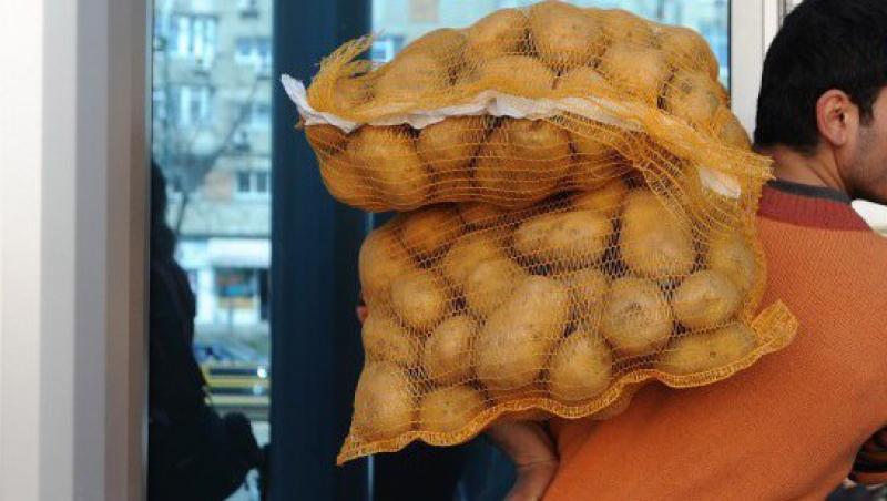 Cumparam cartofi de import, in timp ce productia romaneasca putrezeste in depozite